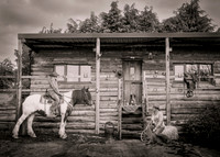 Project Yellowstone
